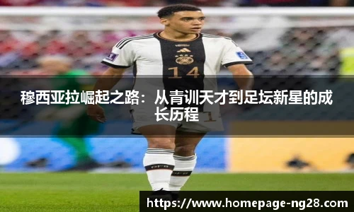 南宫NG28